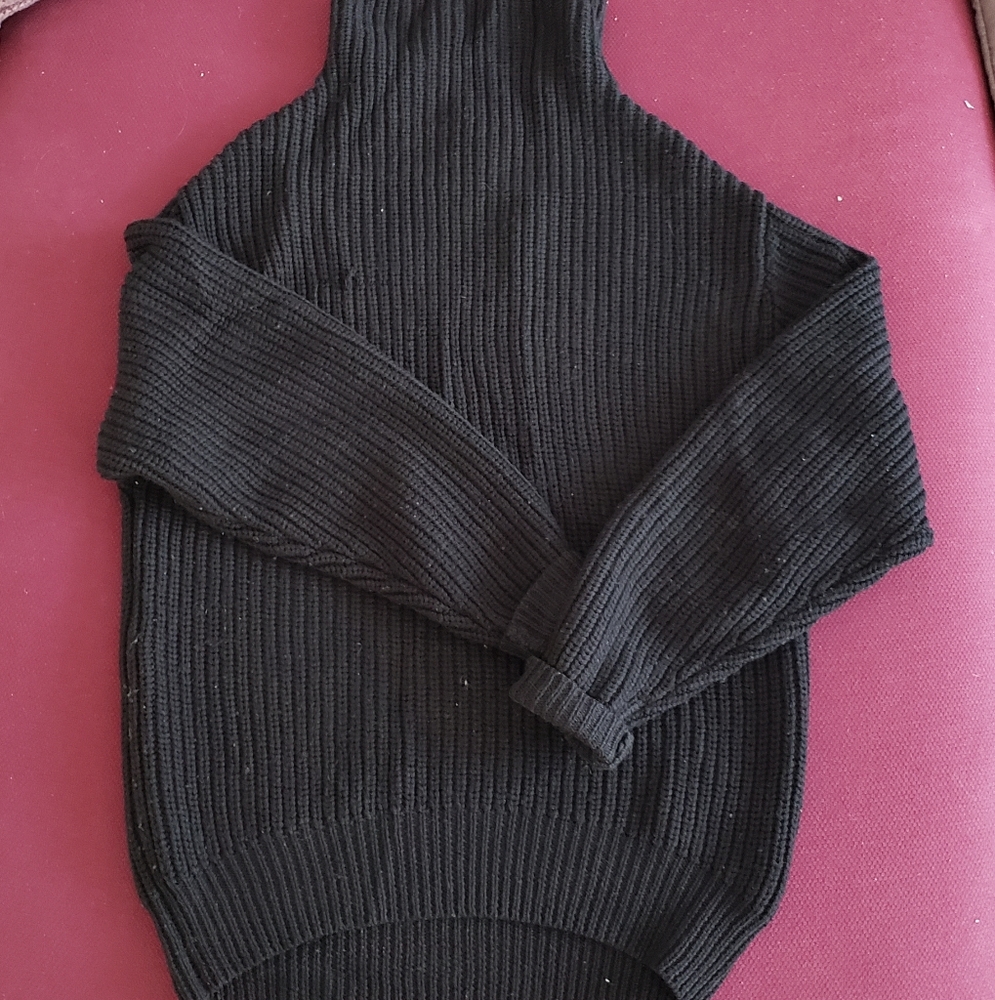 Aritzia Montpellier sweater